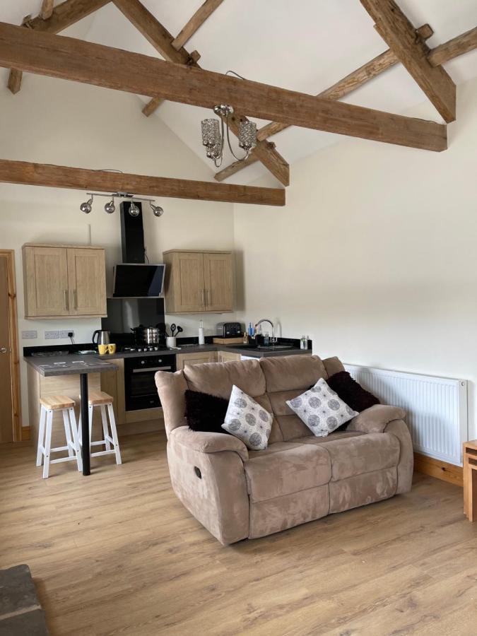 Red Kite Barn Villa Ammanford Exterior foto