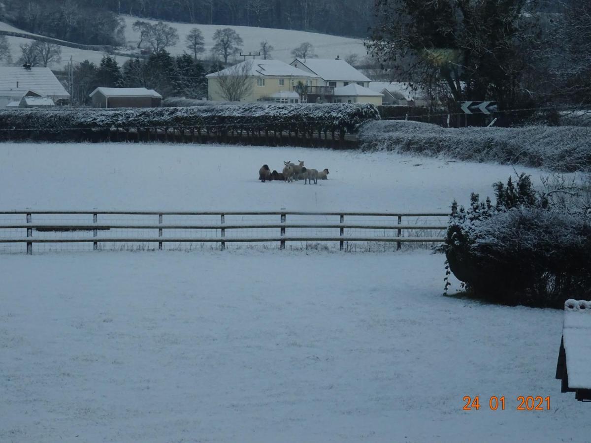 Red Kite Barn Villa Ammanford Exterior foto