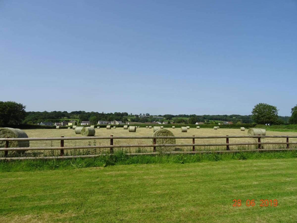 Red Kite Barn Villa Ammanford Exterior foto
